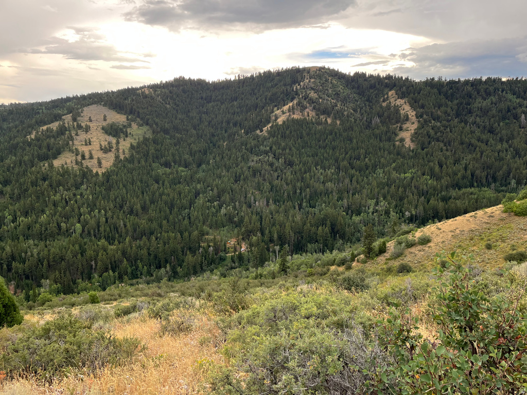  Montpelier, ID 83254