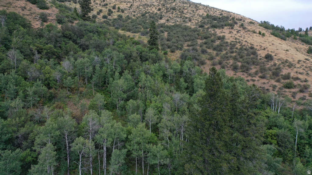  Montpelier, ID 83254