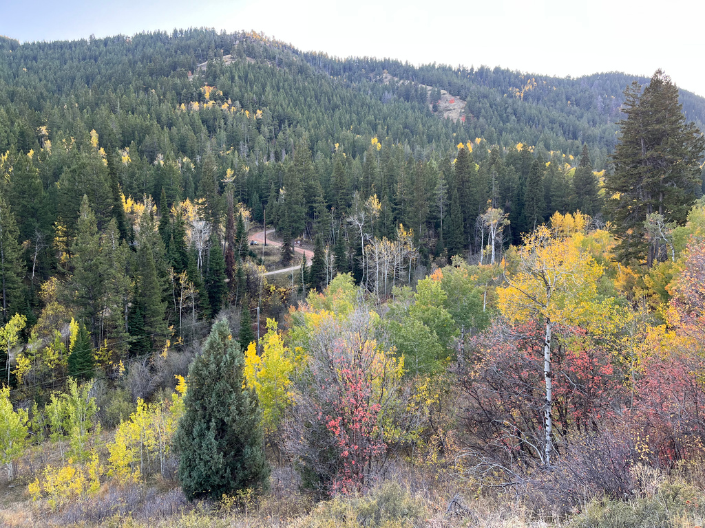  Montpelier, ID 83254