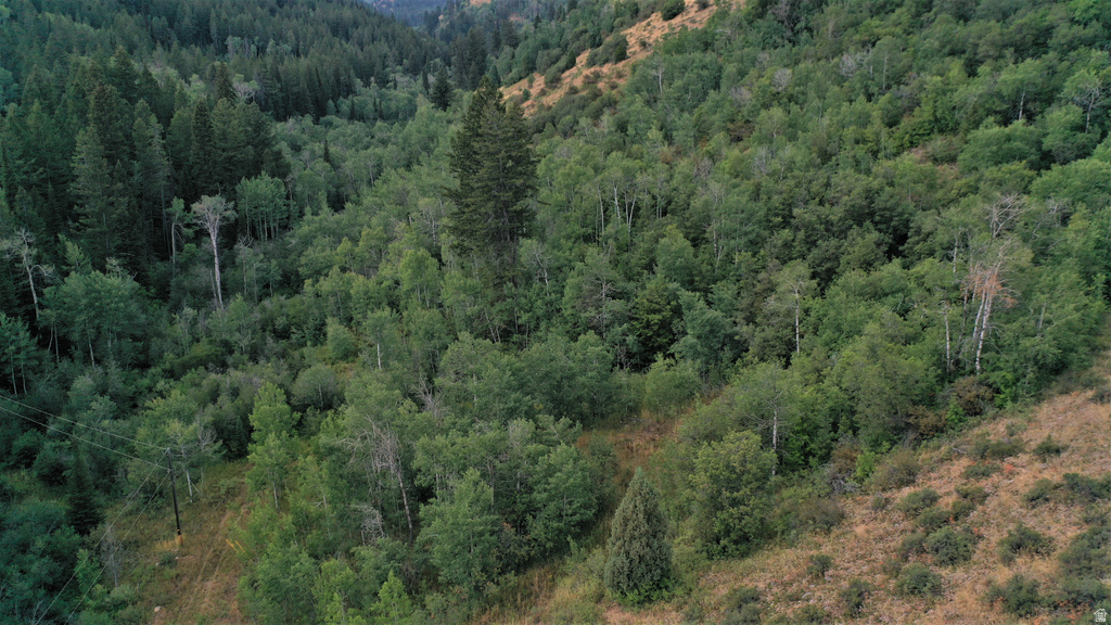  Montpelier, ID 83254