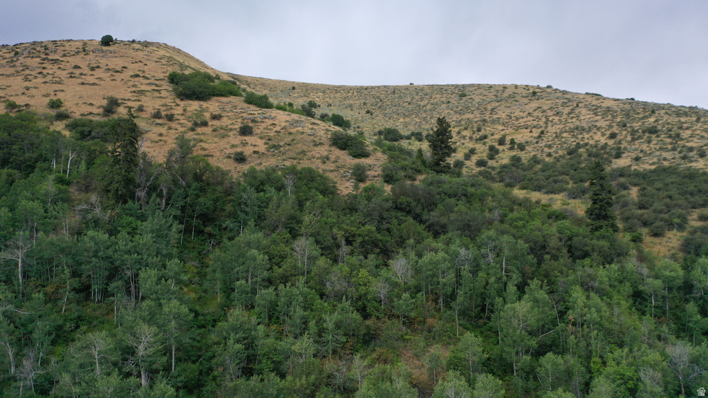  Montpelier, ID 83254