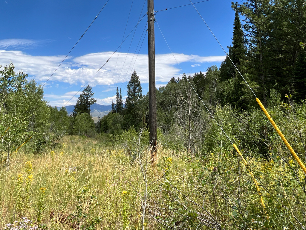  Montpelier, ID 83254