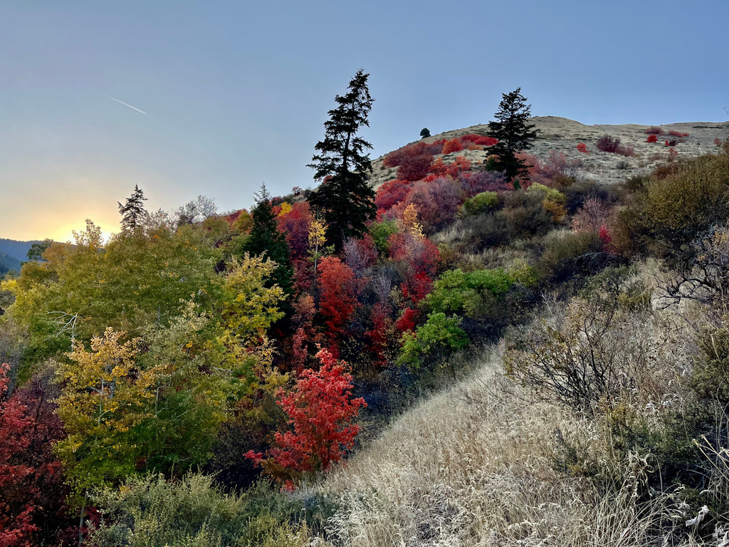  Montpelier, ID 83254