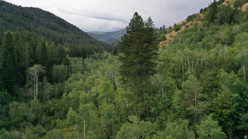  Montpelier, ID 83254