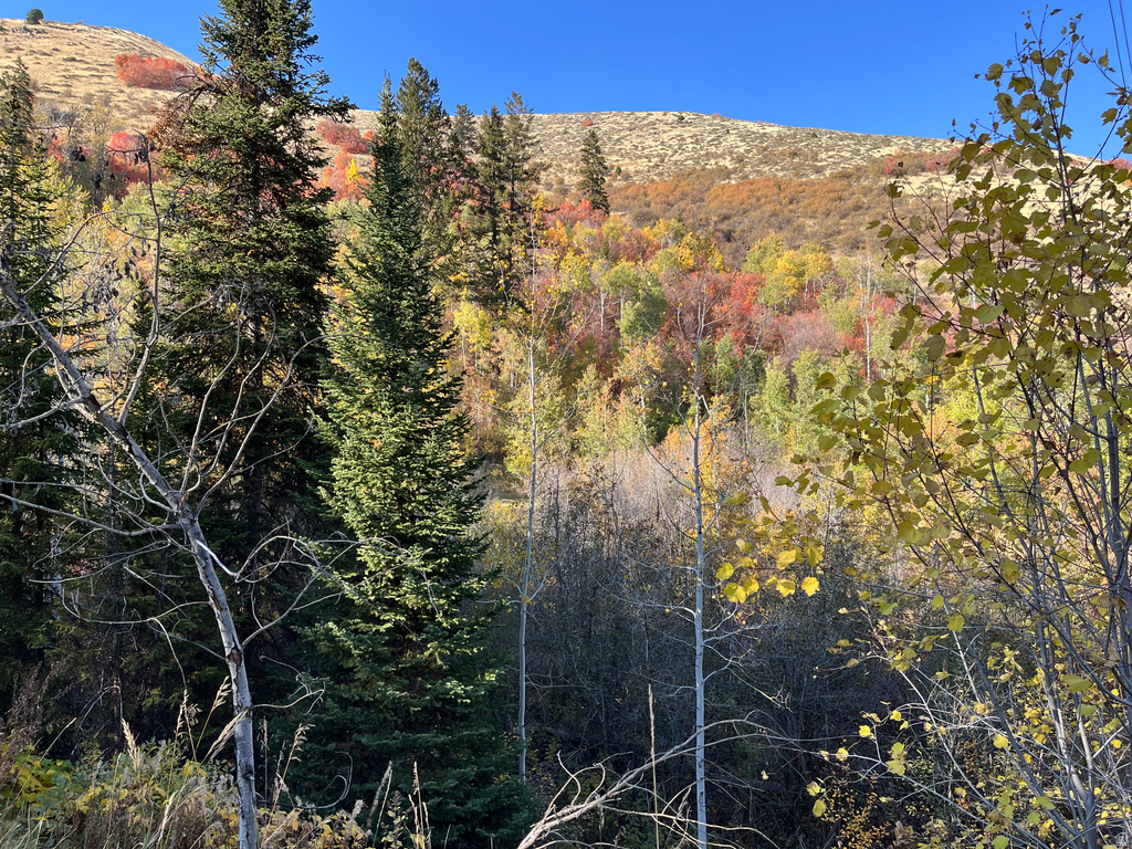  Montpelier, ID 83254
