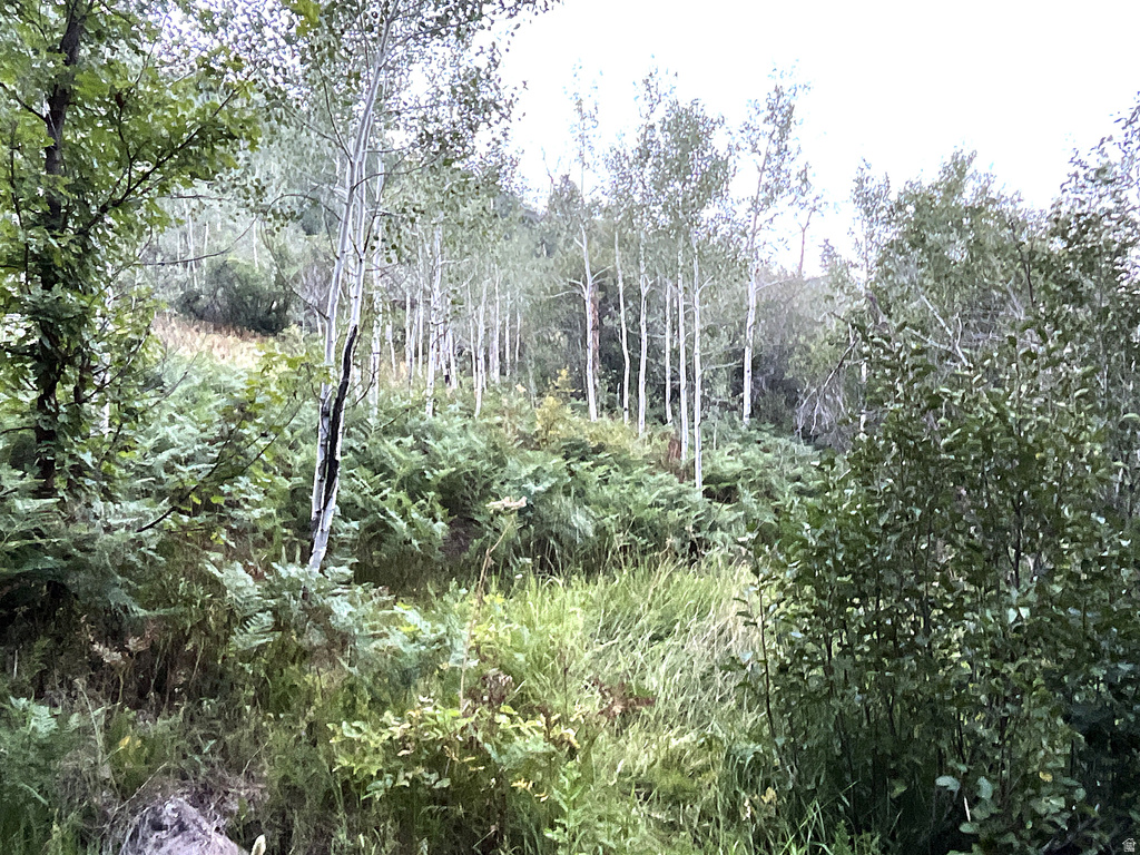  Montpelier, ID 83254
