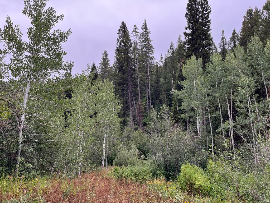  Montpelier, ID 83254