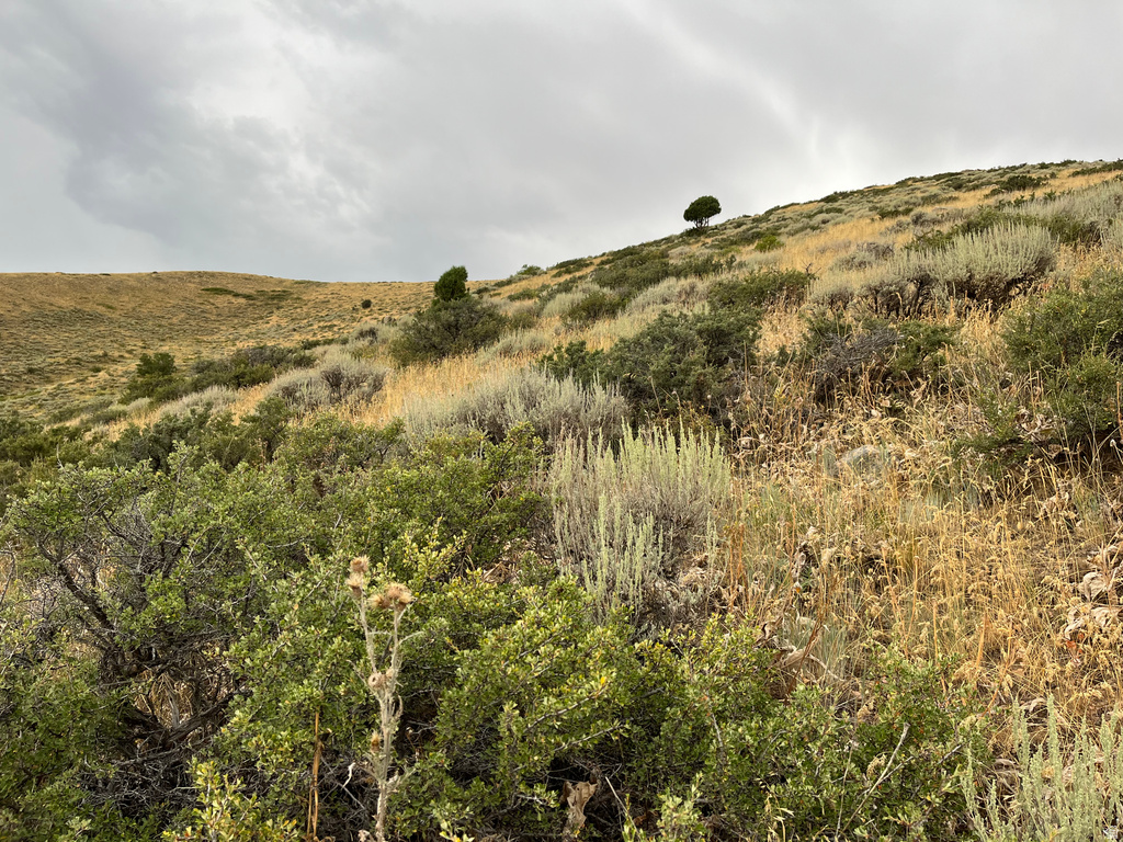  Montpelier, ID 83254