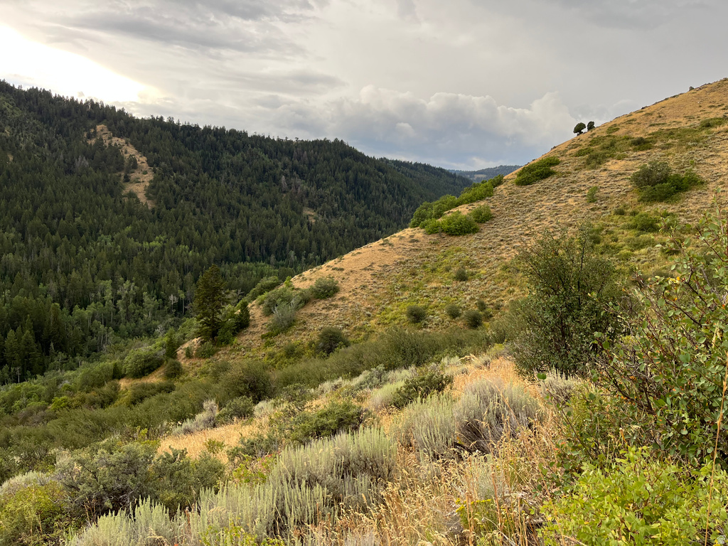  Montpelier, ID 83254