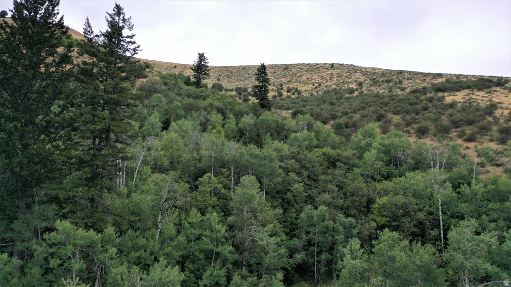  Montpelier, ID 83254