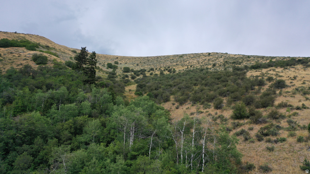  Montpelier, ID 83254