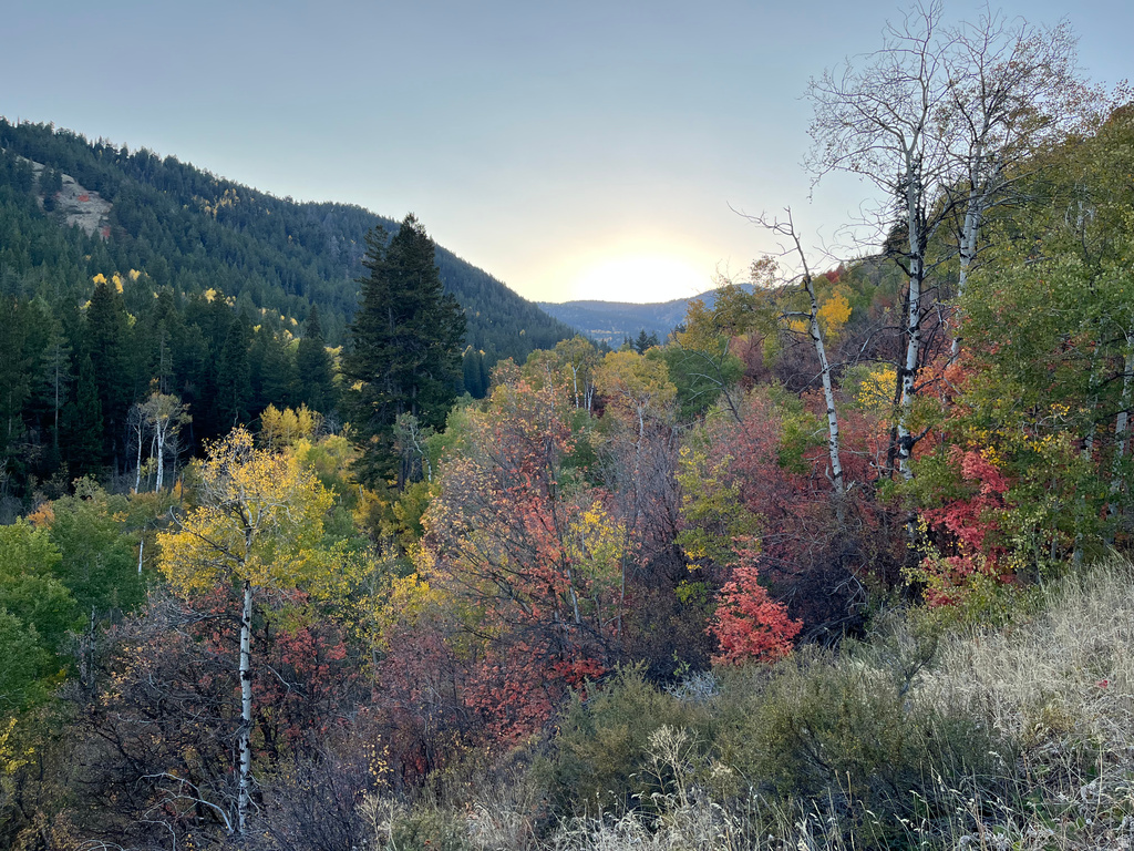  Montpelier, ID 83254
