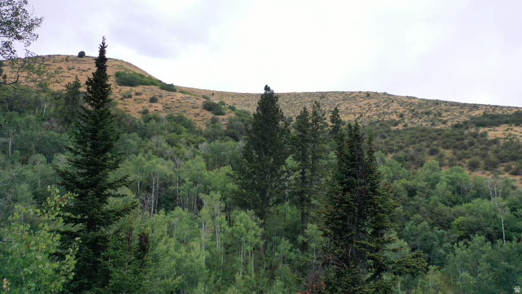  Montpelier, ID 83254