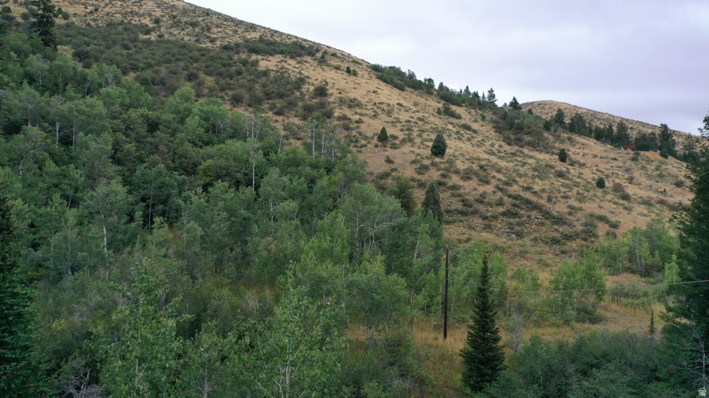  Montpelier, ID 83254