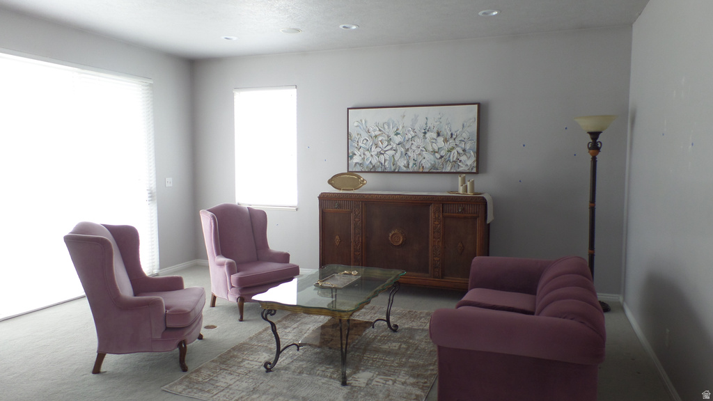 496 E SPRUCE GLEN RD Murray, UT 84107