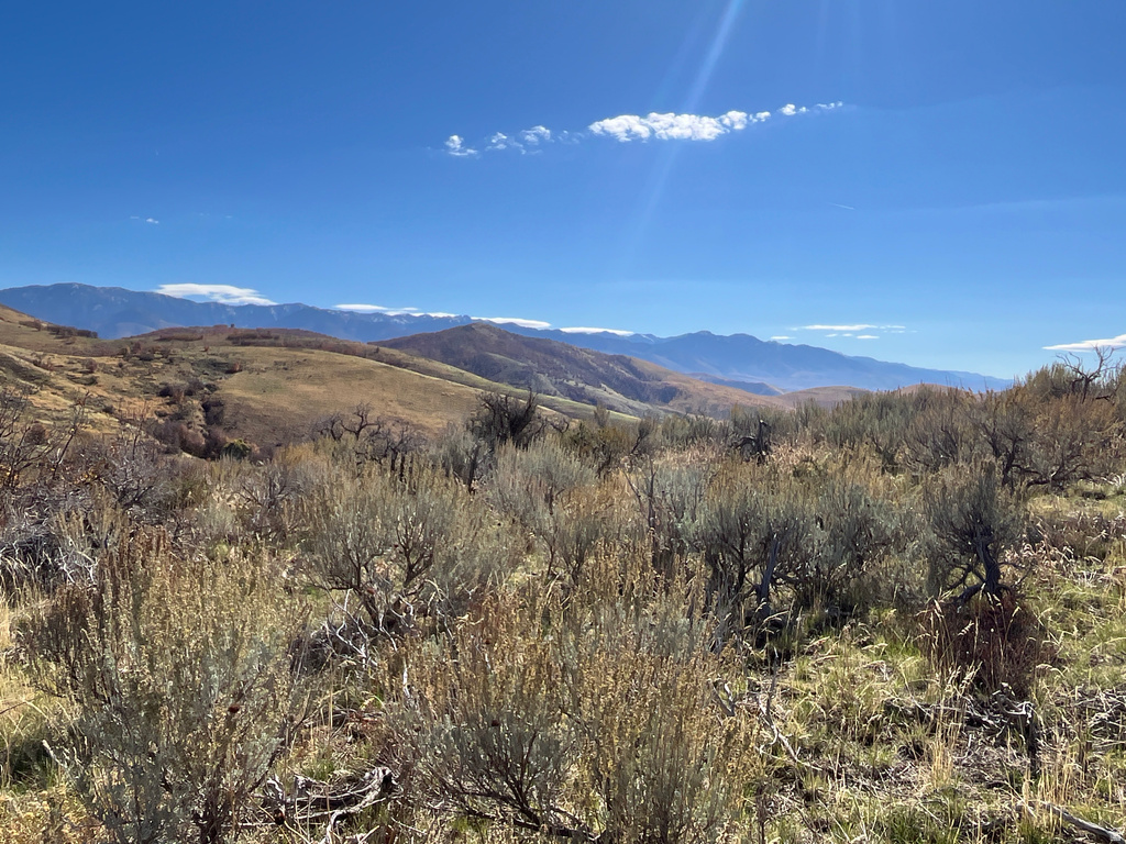  Preston, ID 83263