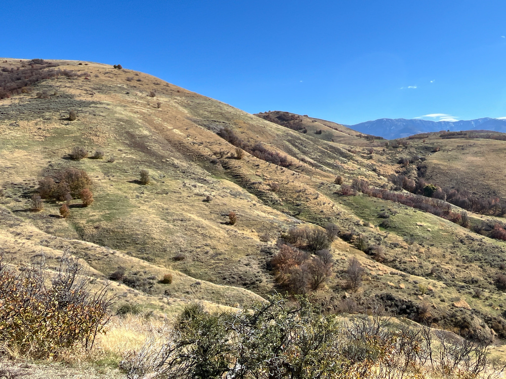  Preston, ID 83263