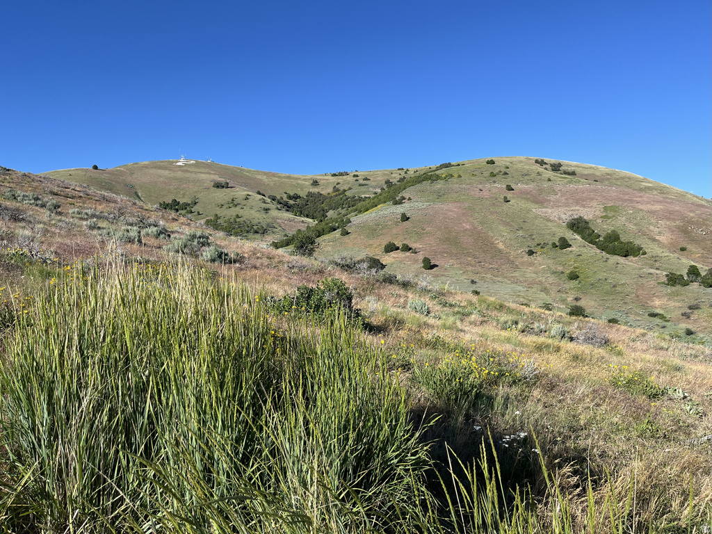  Preston, ID 83263