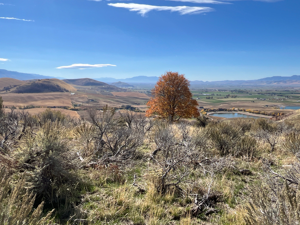  Preston, ID 83263