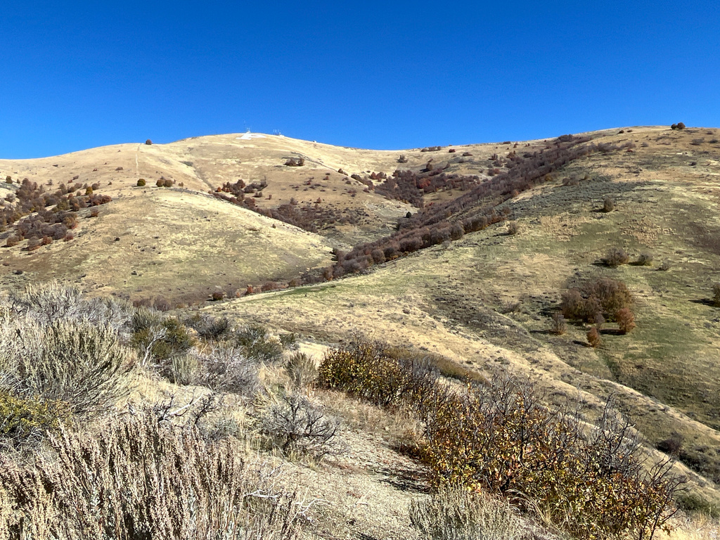 Preston, ID 83263