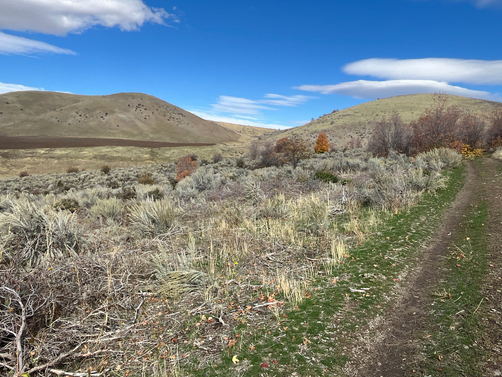  Preston, ID 83263