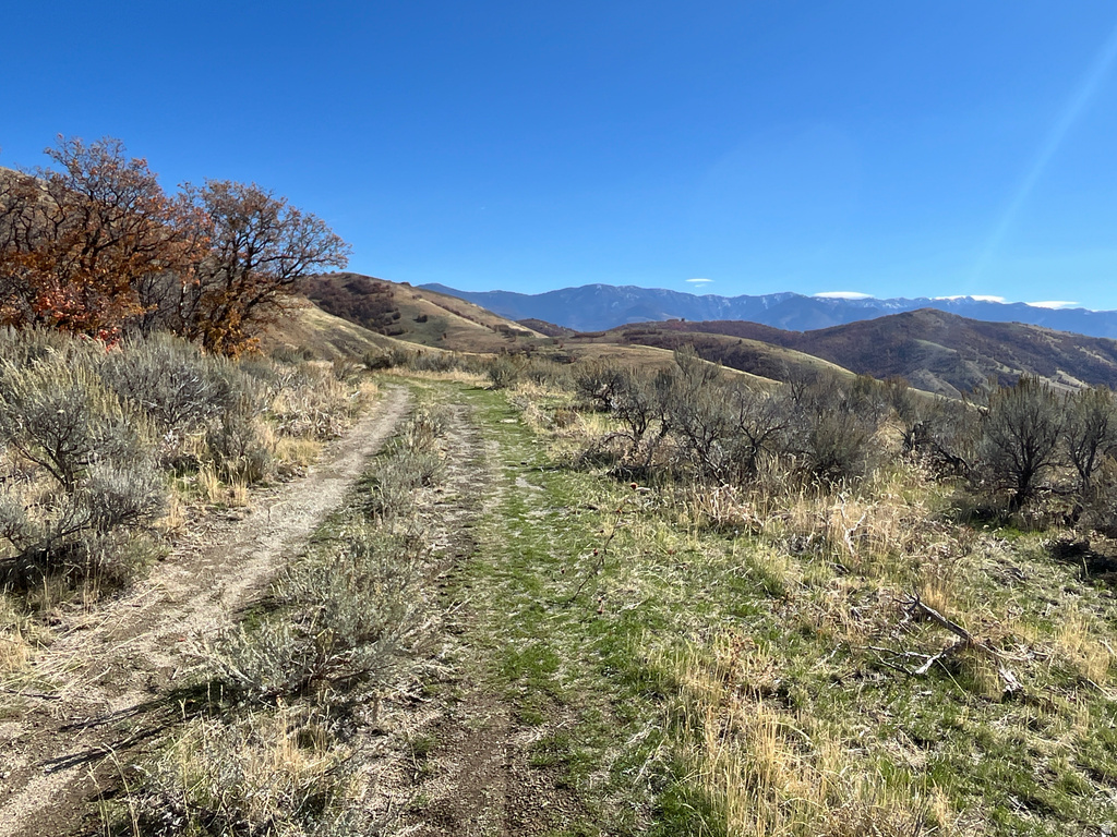  Preston, ID 83263