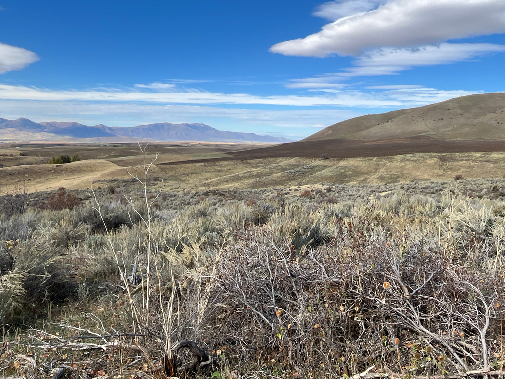  Preston, ID 83263