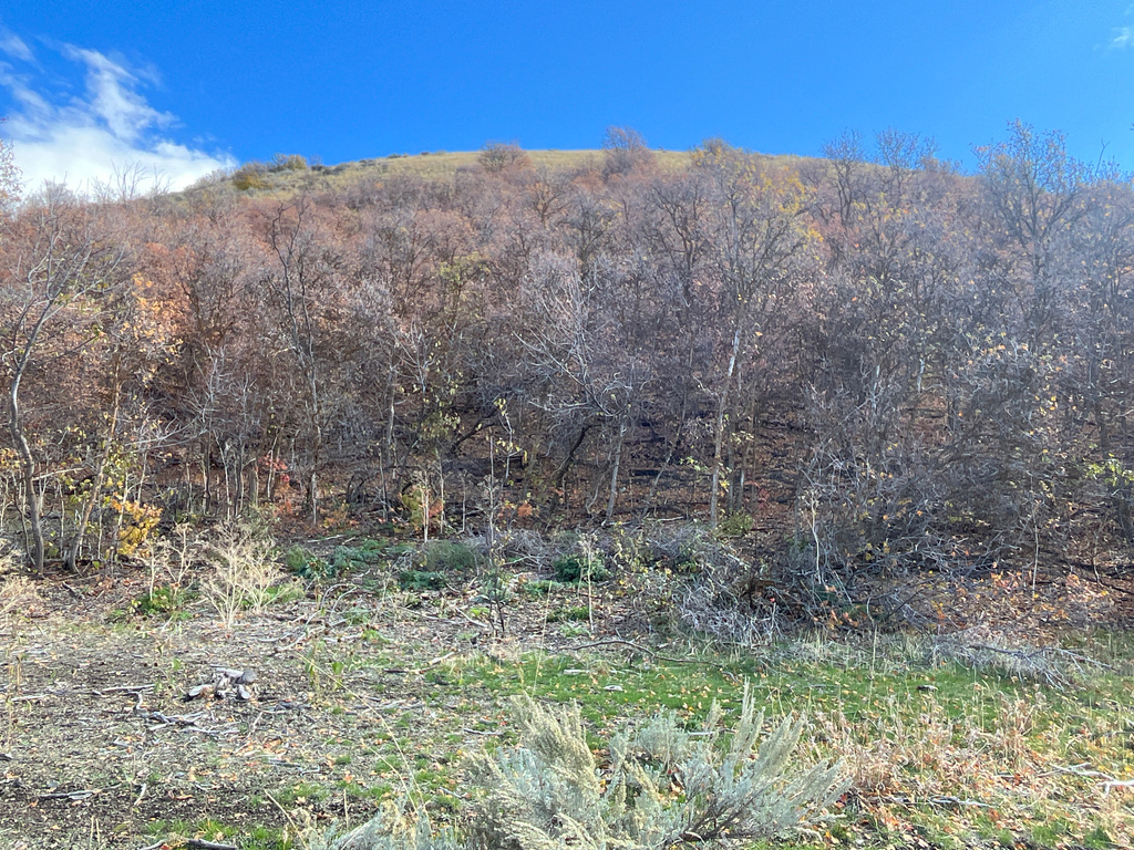  Preston, ID 83263