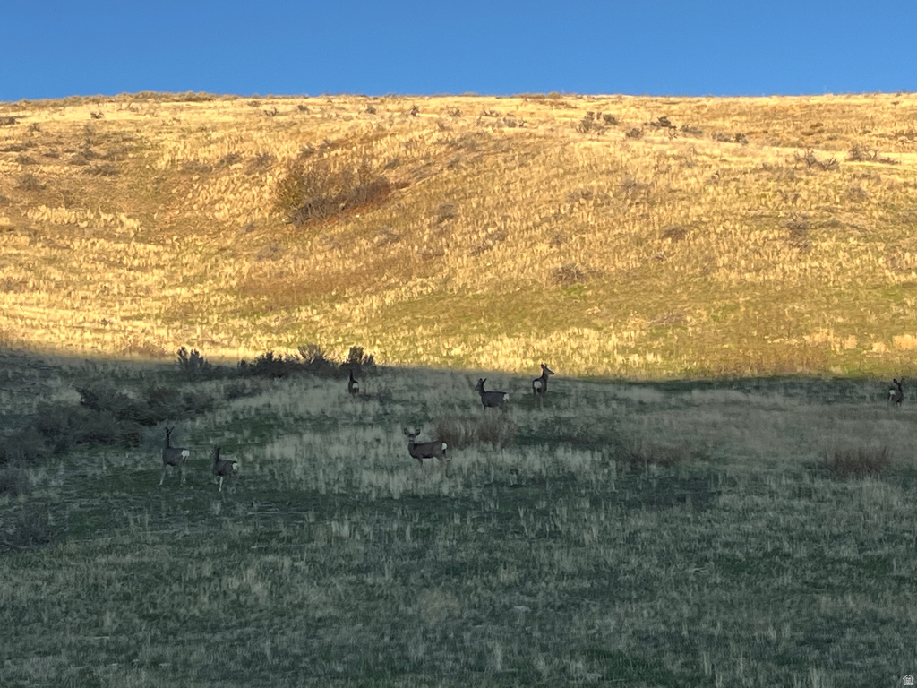  Preston, ID 83263