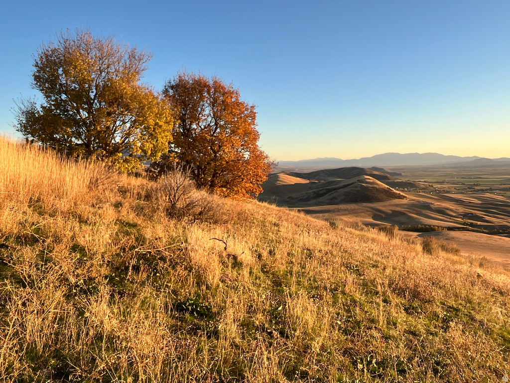  Preston, ID 83263