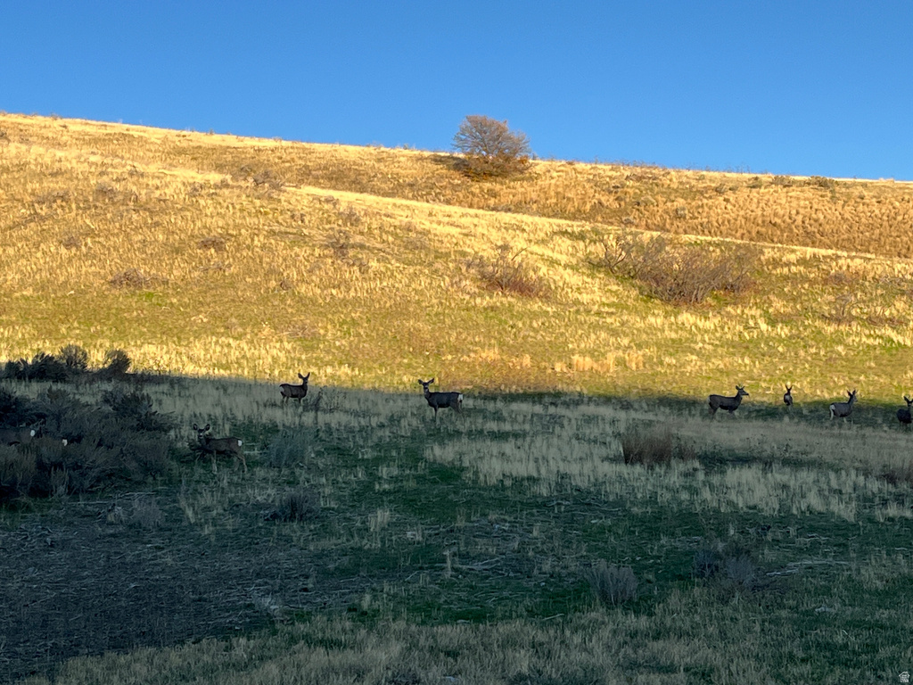  Preston, ID 83263