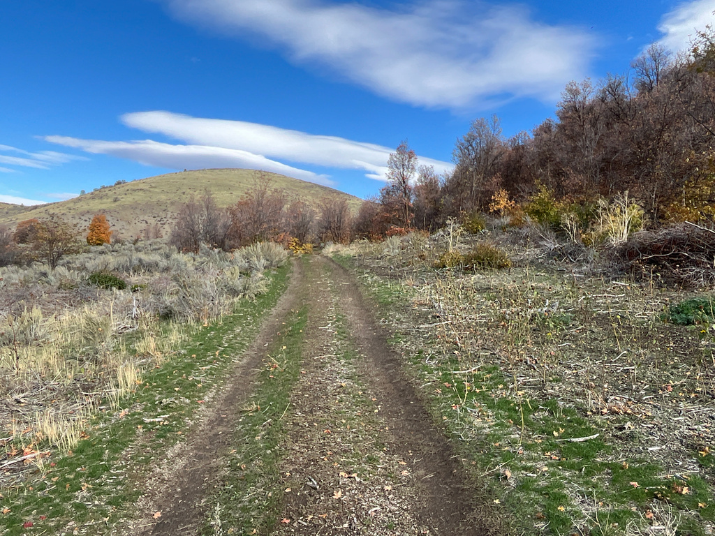 Preston, ID 83263