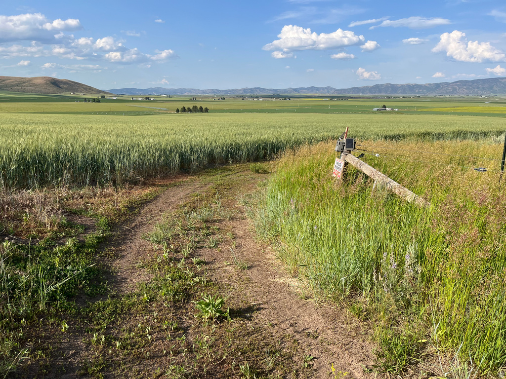  Grace, ID 83241
