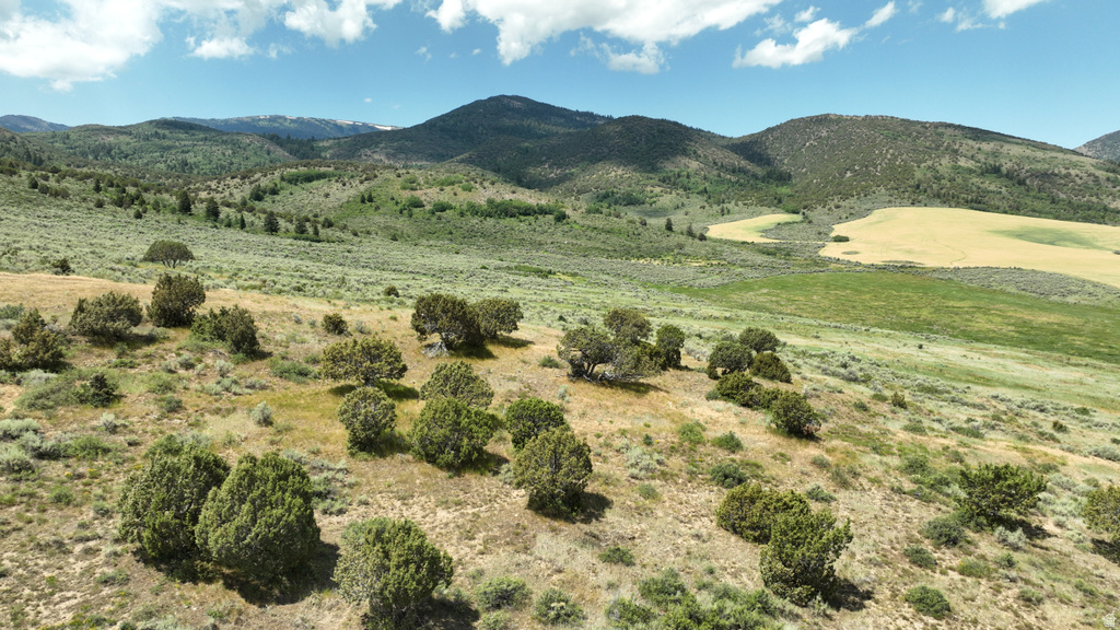  Grace, ID 83241