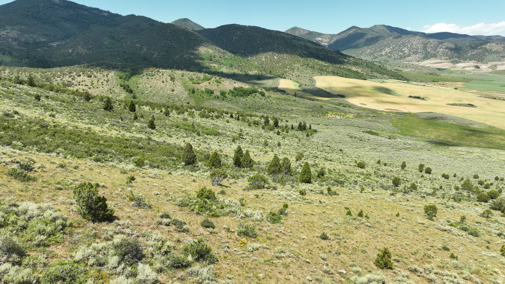  Grace, ID 83241