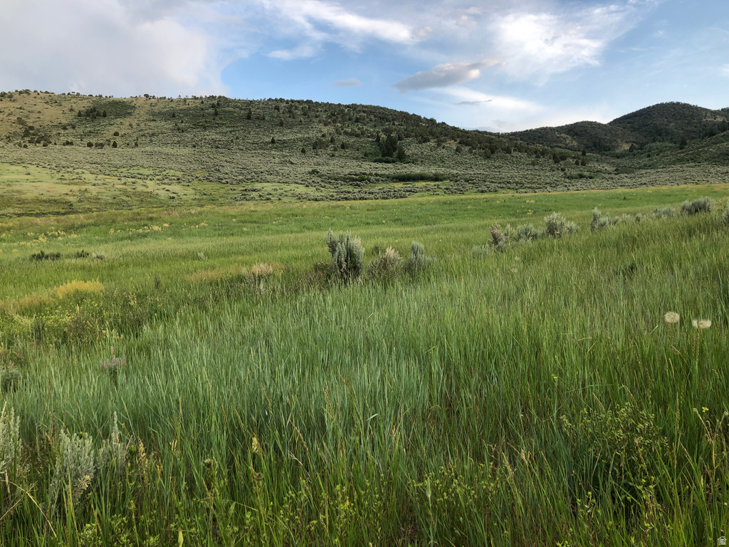  Grace, ID 83241