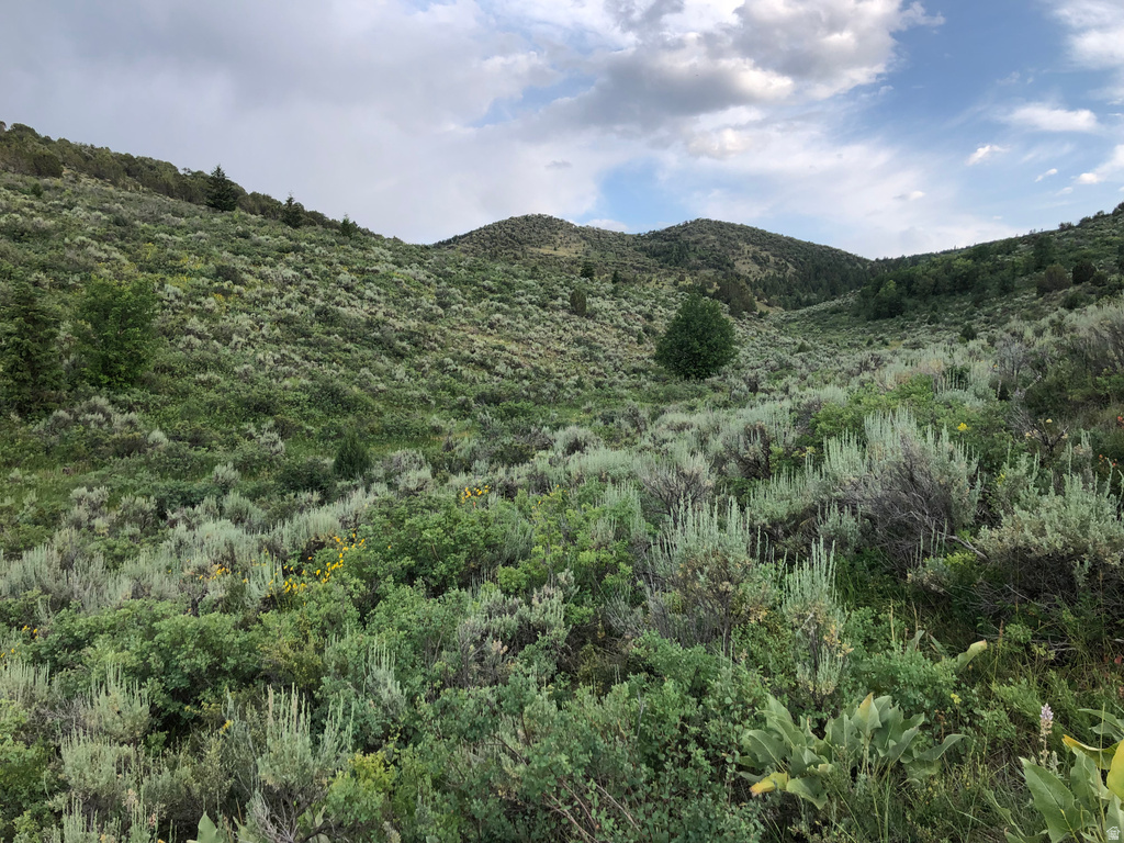  Grace, ID 83241