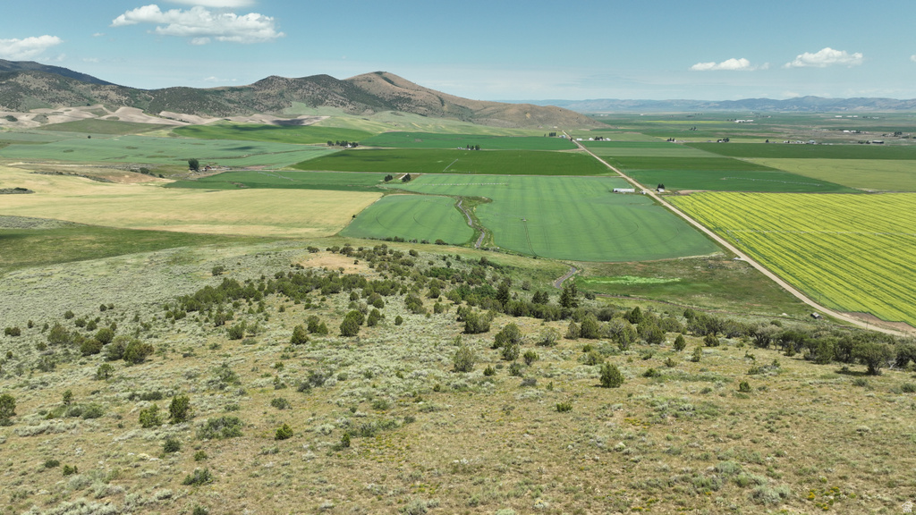  Grace, ID 83241