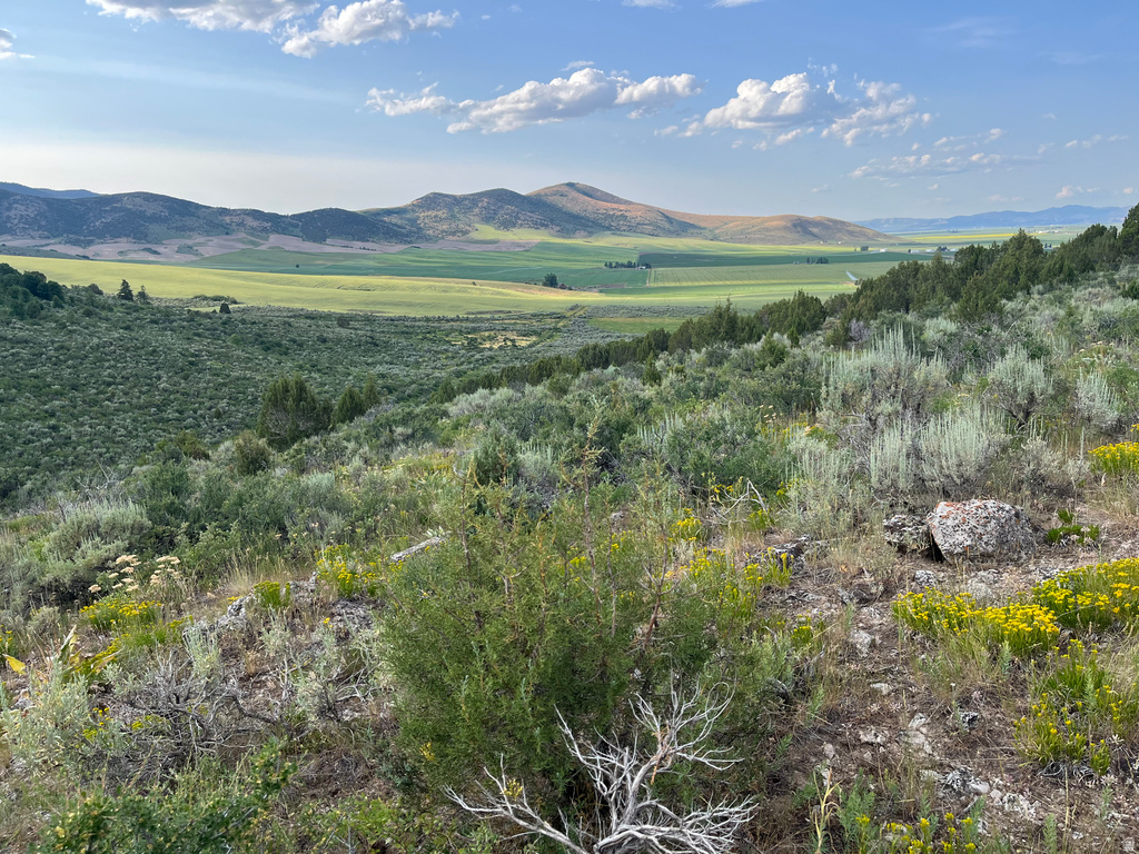  Grace, ID 83241