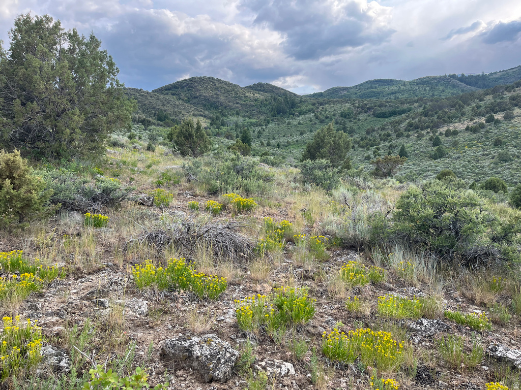  Grace, ID 83241