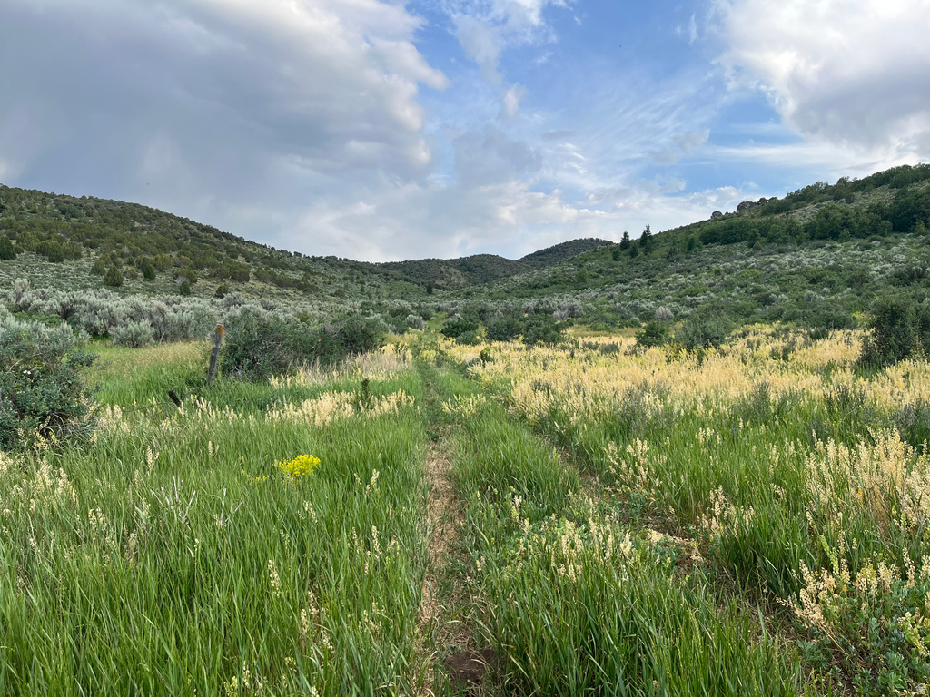  Grace, ID 83241