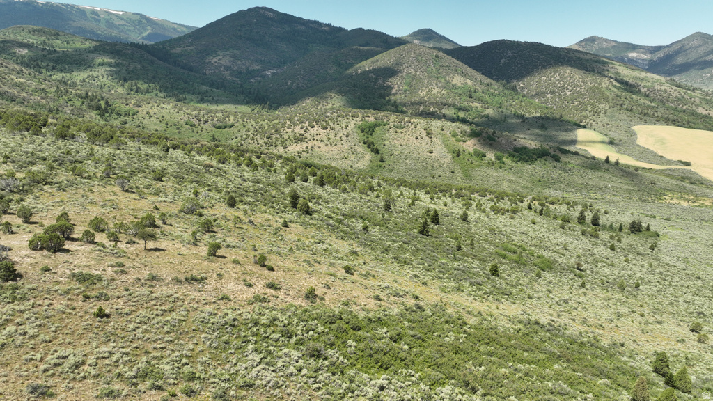  Grace, ID 83241