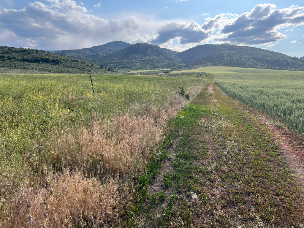  Grace, ID 83241
