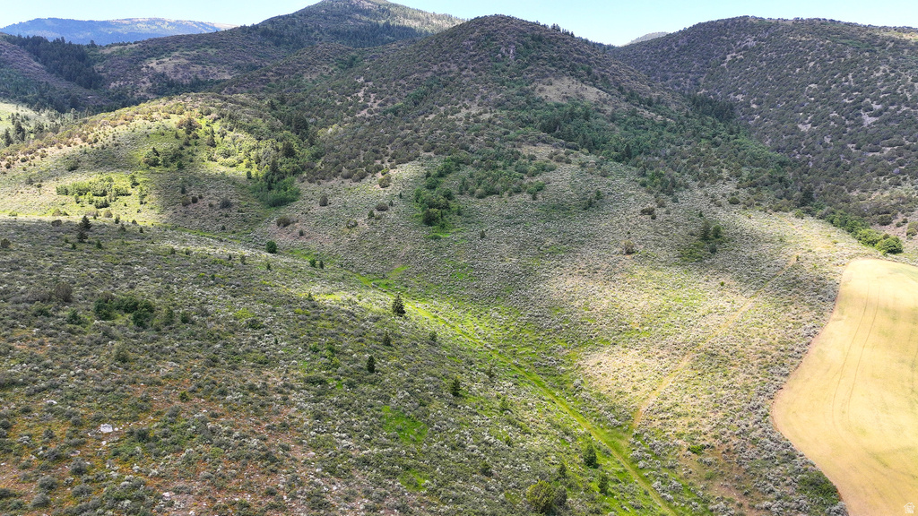  Grace, ID 83241