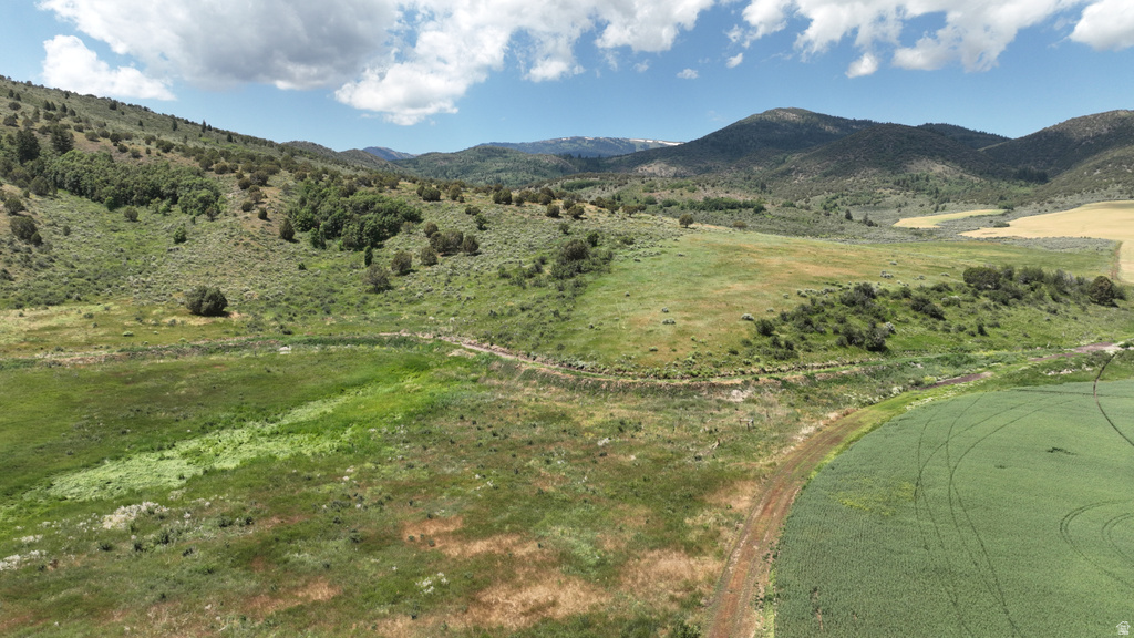  Grace, ID 83241