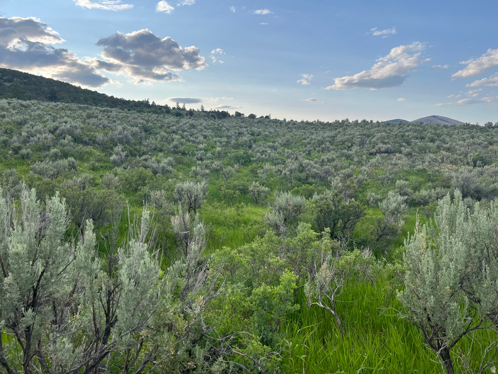  Grace, ID 83241