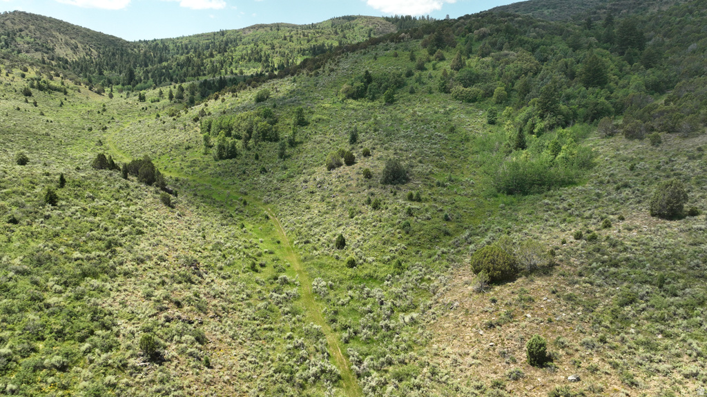  Grace, ID 83241