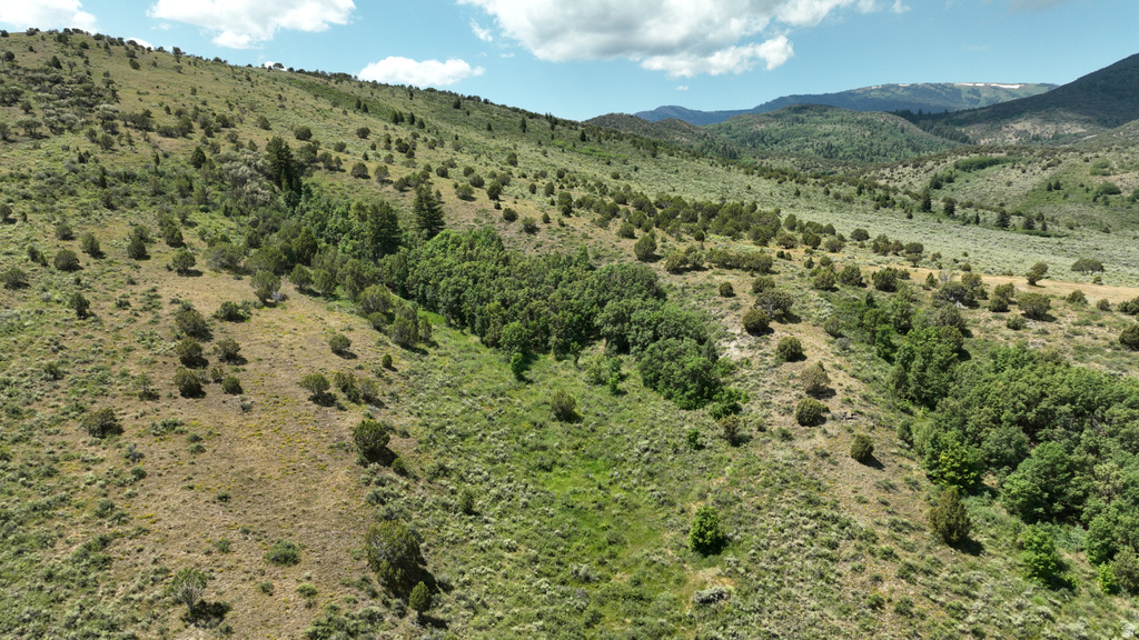  Grace, ID 83241