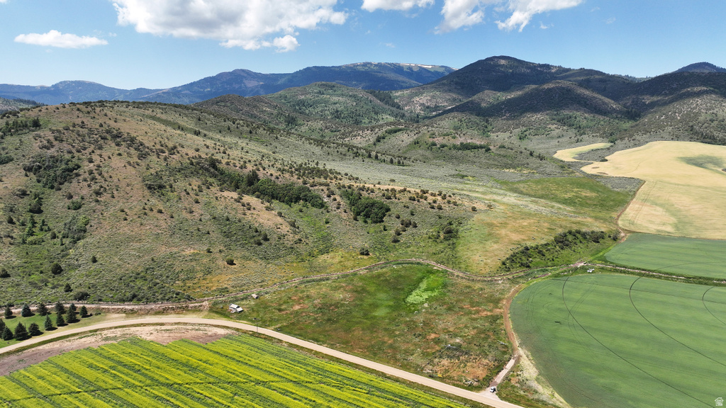  Grace, ID 83241