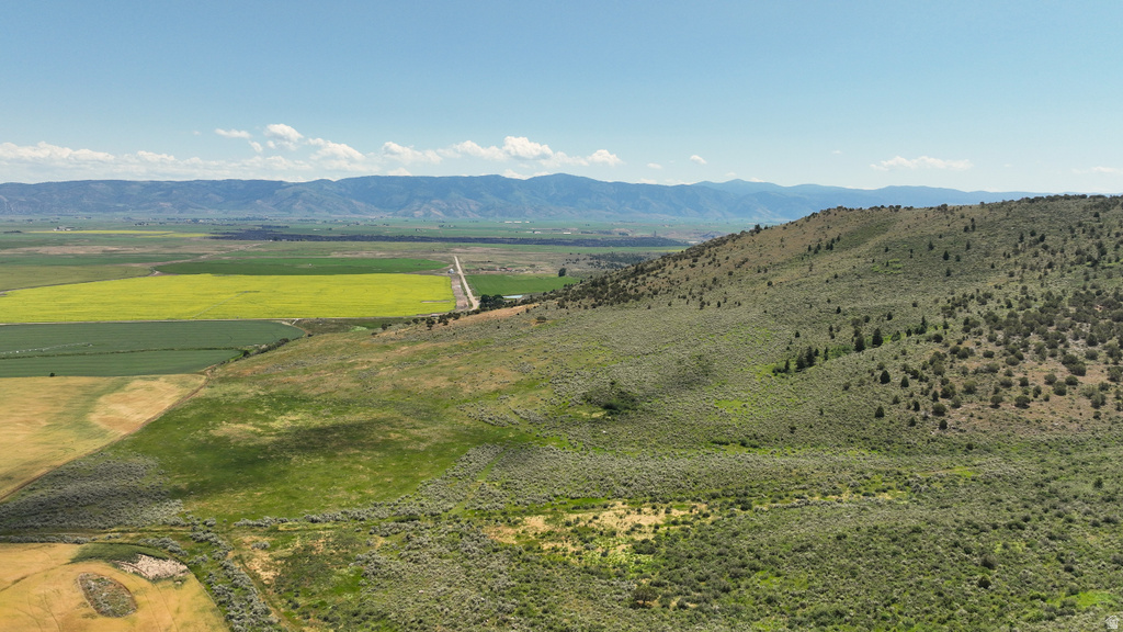  Grace, ID 83241